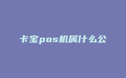 卡宝pos机属什么公司