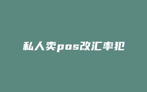 私人卖pos改汇率犯法不