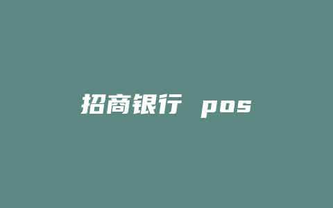 招商银行 pos