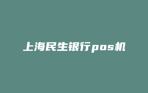 上海民生银行pos机