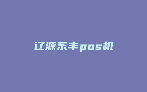 辽源东丰pos机