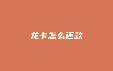 龙卡怎么还款