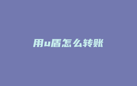 用u盾怎么转账