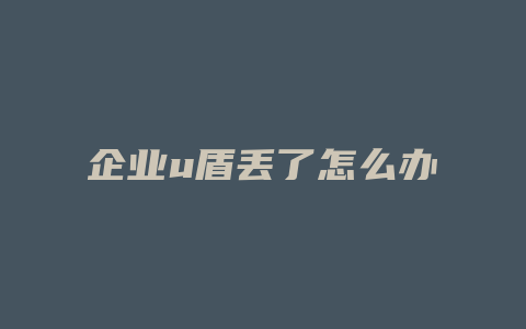 企业u盾丢了怎么办