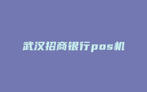 武汉招商银行pos机